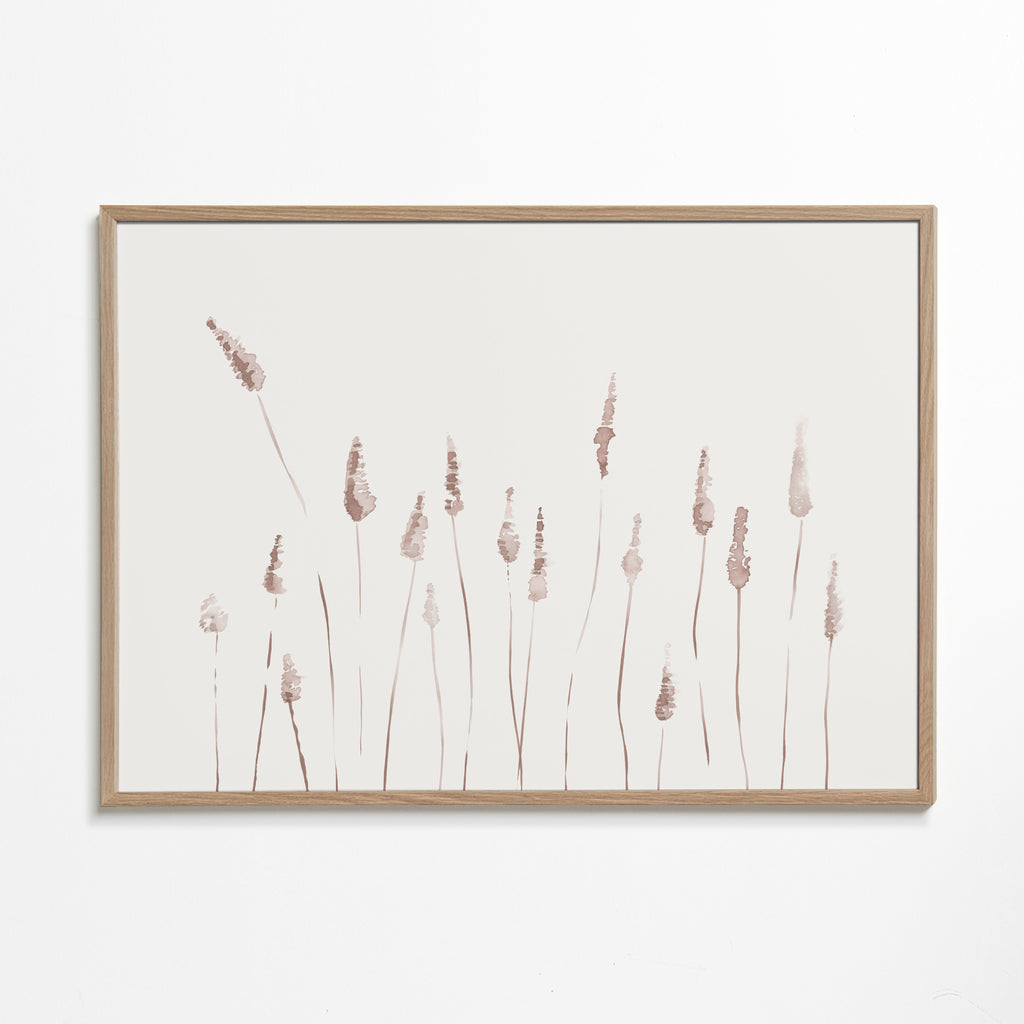 Botanisk poster med skira ax