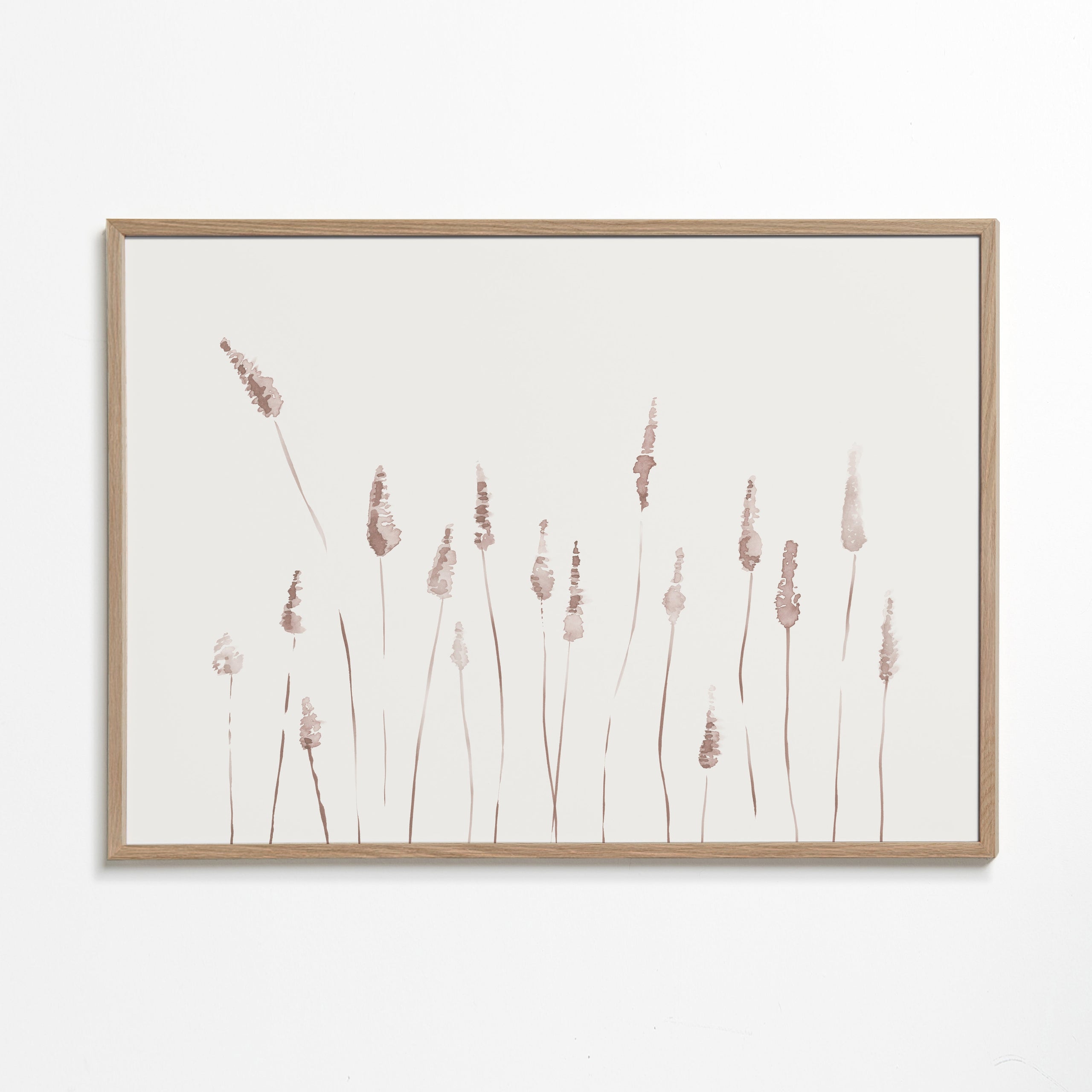 Botanisk poster med skira ax