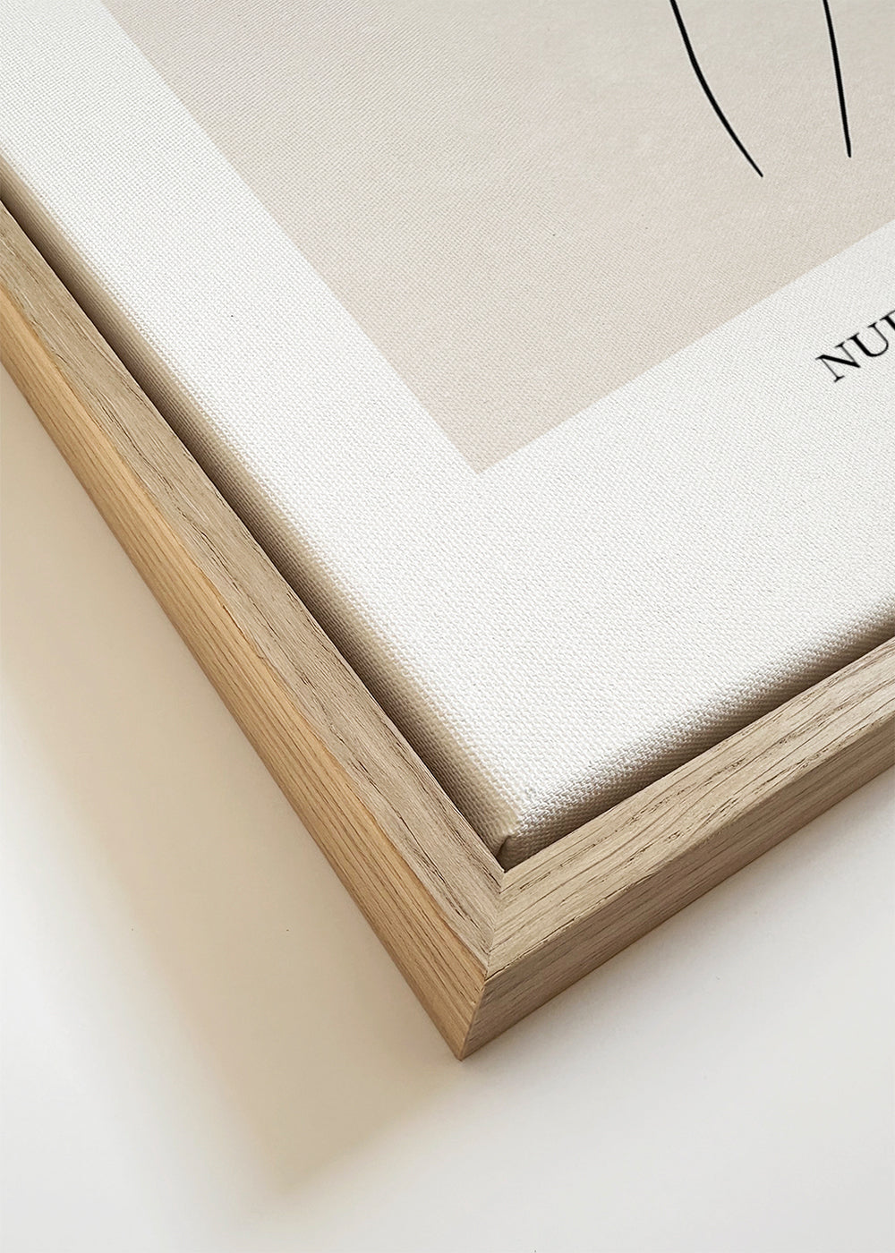 Illustration: Nakenstudie i linje