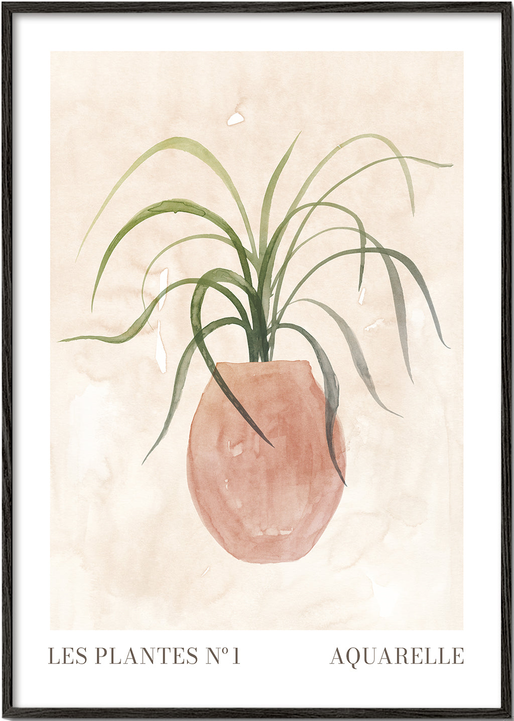 Botanisk poster: krukväxt akvarell