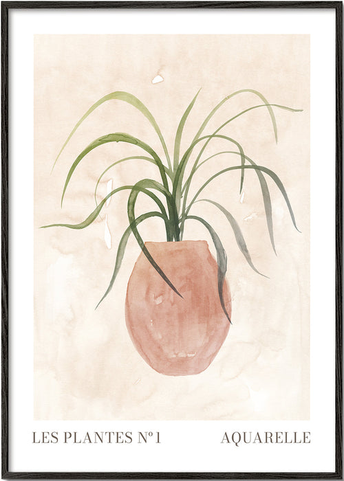 Botanisk poster: krukväxt akvarell