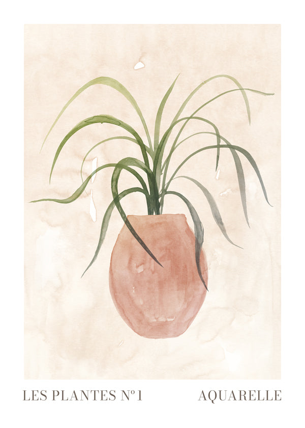 Botanisk poster: krukväxt akvarell