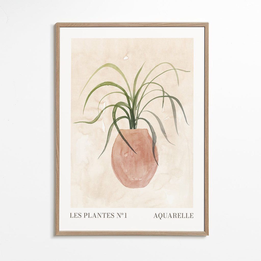 Botanisk poster: krukväxt akvarell