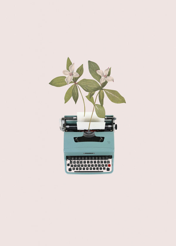 Botanisk poster: skrivmaskin med blad
