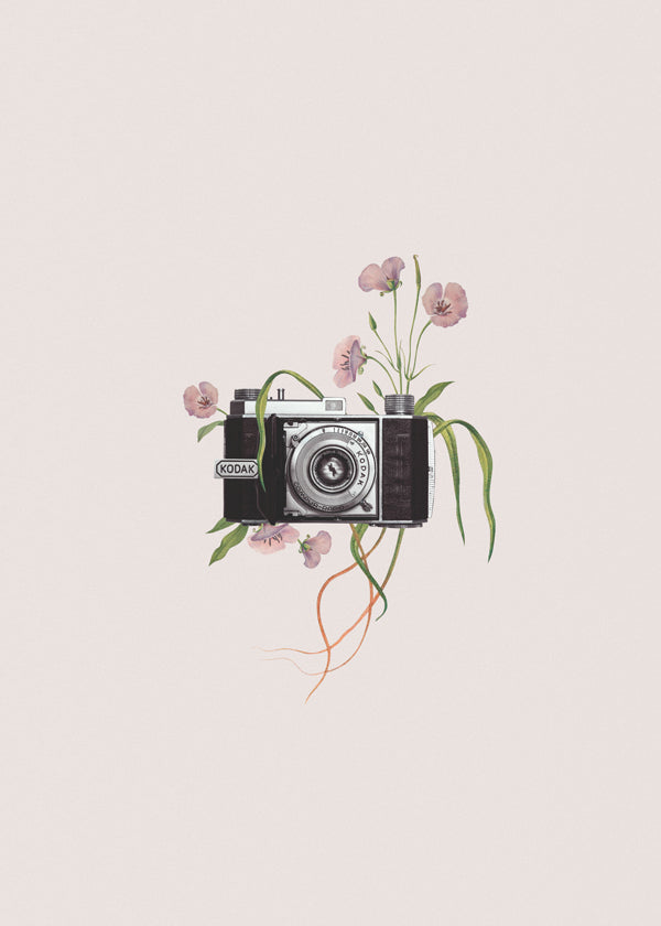 Vintage-kamera med blommor