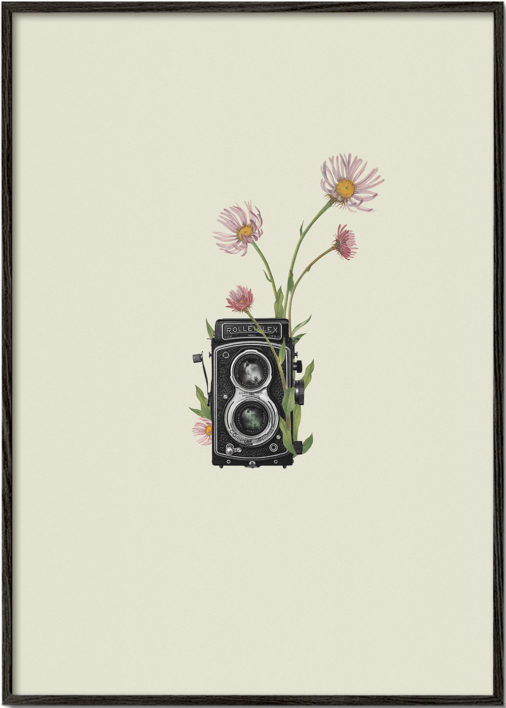 Botanisk poster med vintagekamera och prästkragar