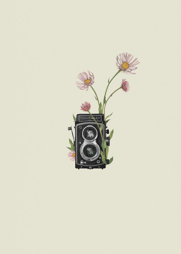 Botanisk poster med vintagekamera och prästkragar