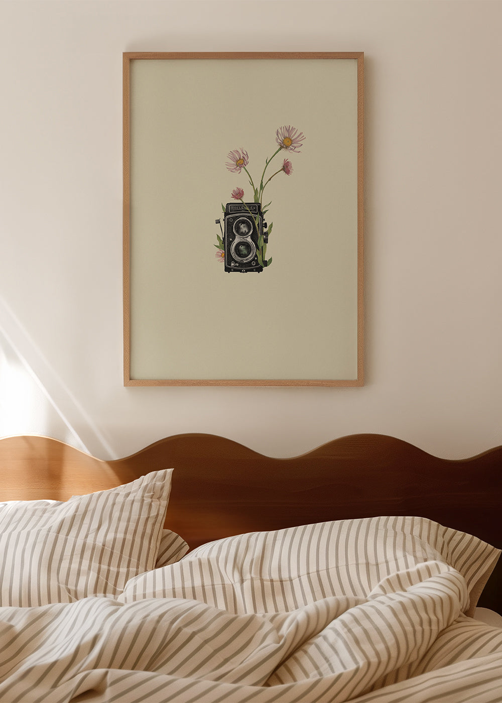 Botanisk poster med vintagekamera och prästkragar
