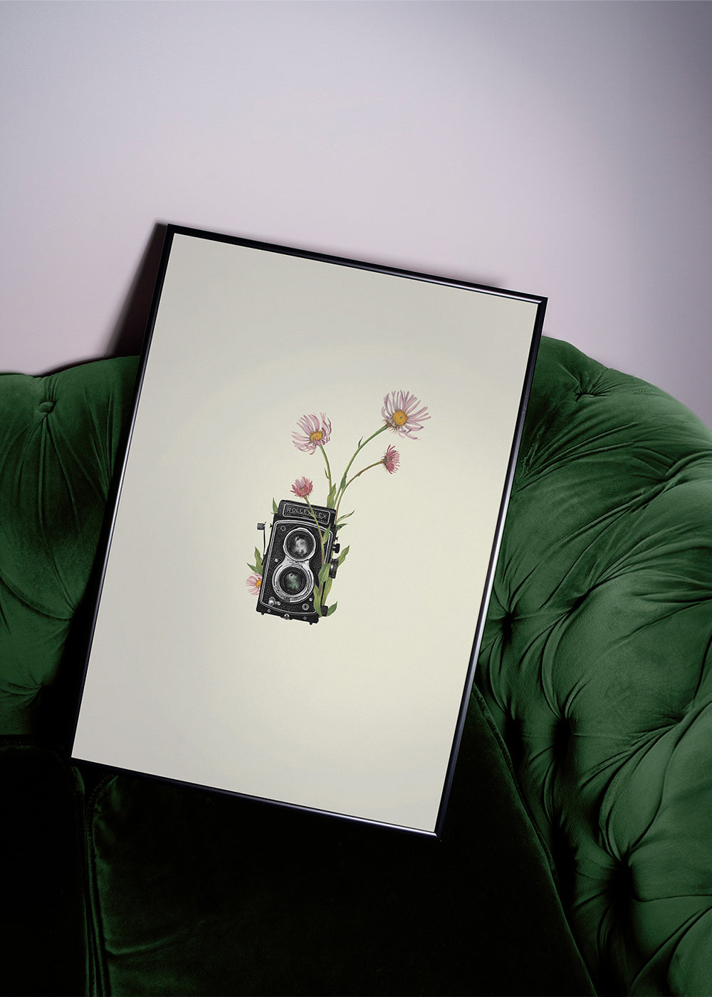 Botanisk poster med vintagekamera och prästkragar