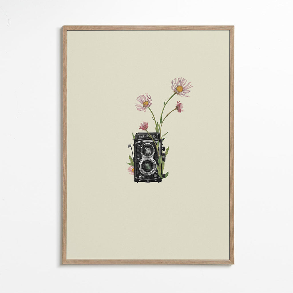 Botanisk poster med vintagekamera och prästkragar
