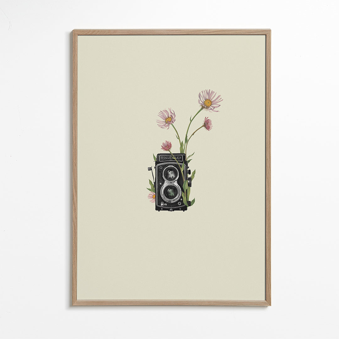 Botanisk poster med vintagekamera och prästkragar