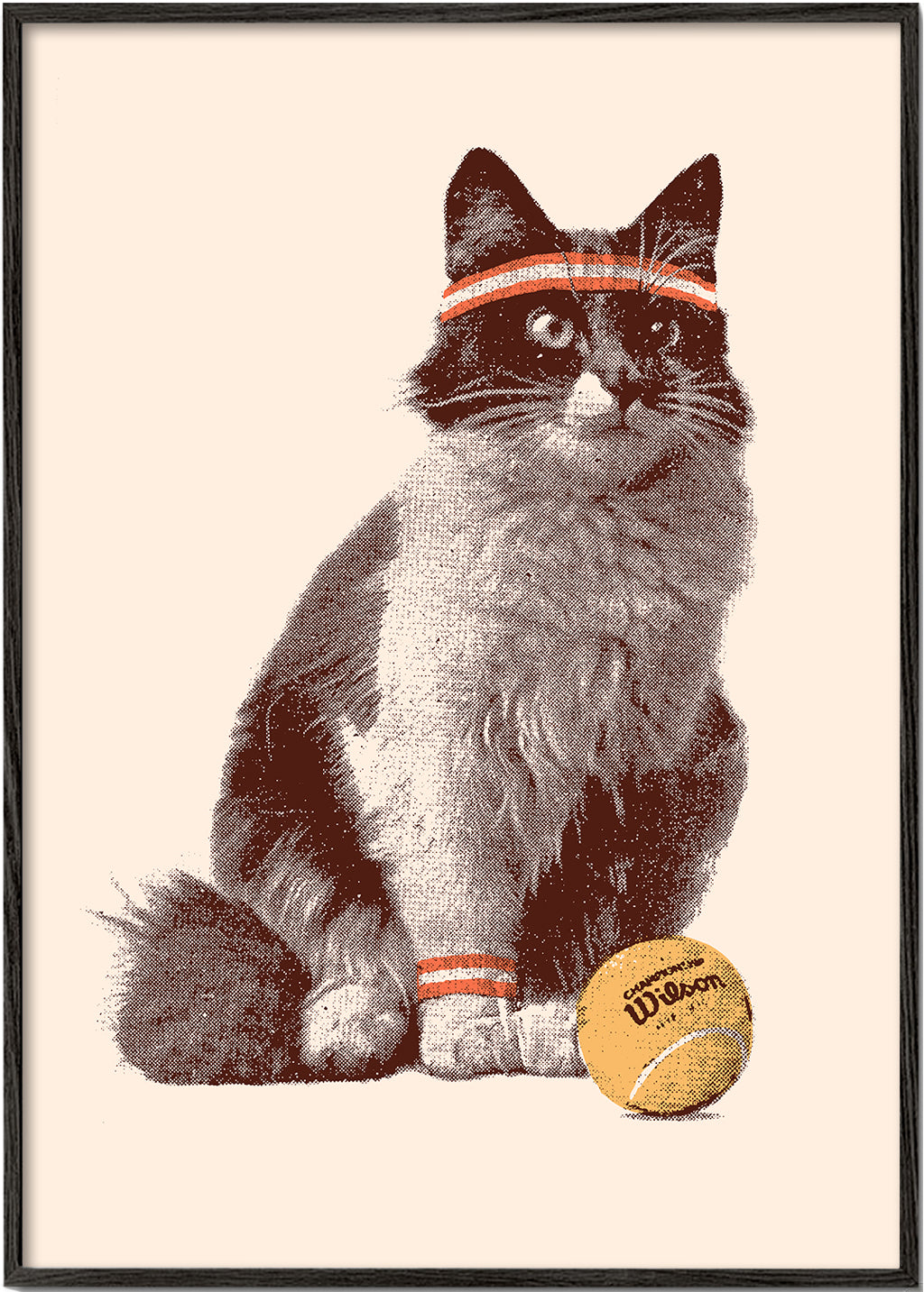 Katt med tennisboll