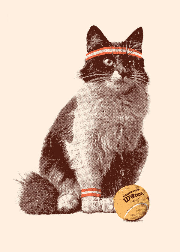 Katt med tennisboll