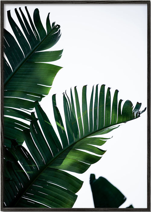 Botanisk poster gröna blad vertikal