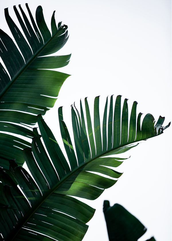 Botanisk poster gröna blad vertikal