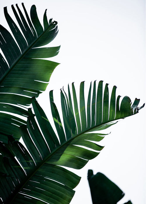 Botanisk poster gröna blad vertikal