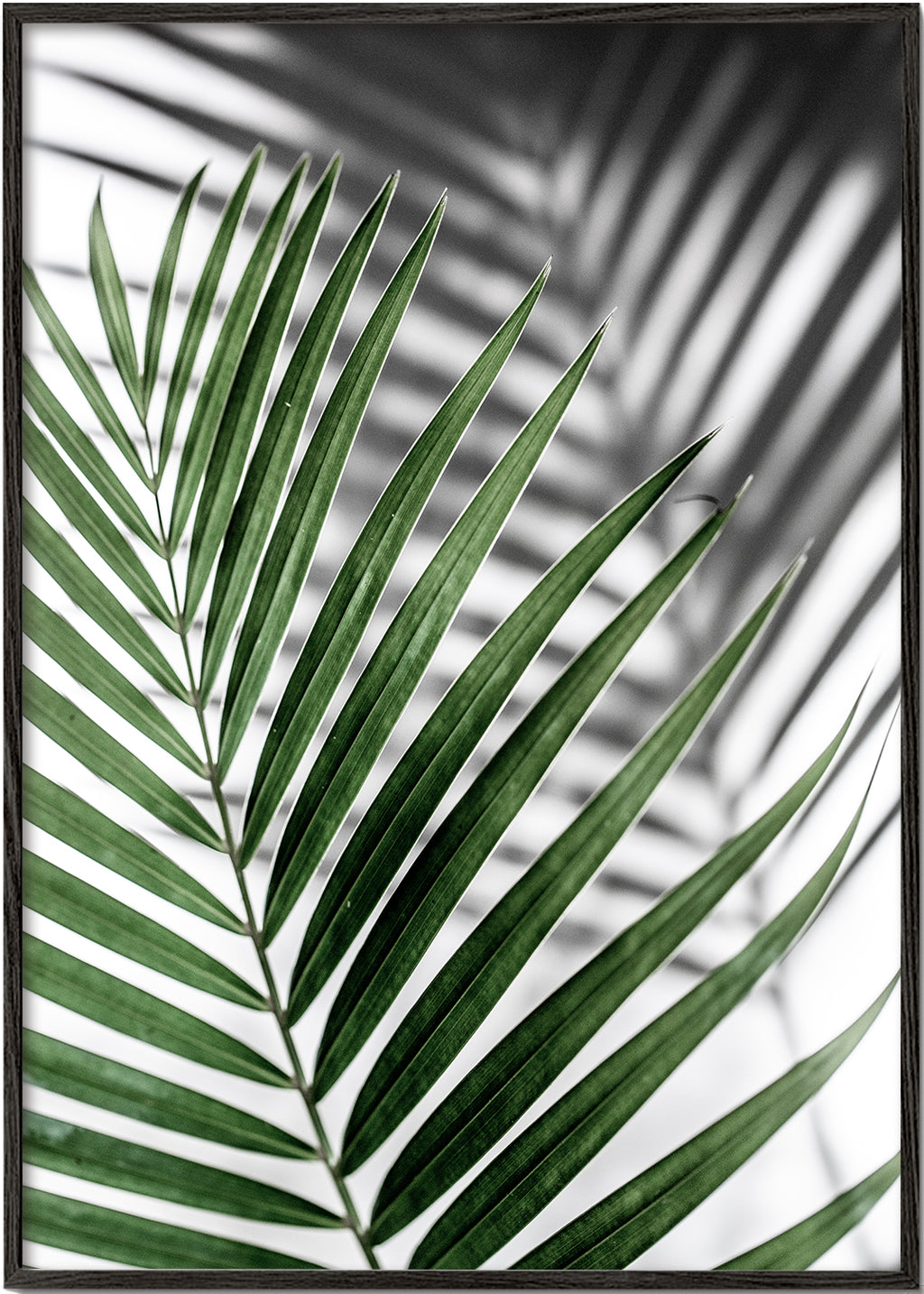 Botanisk print med palmlöv i närbild