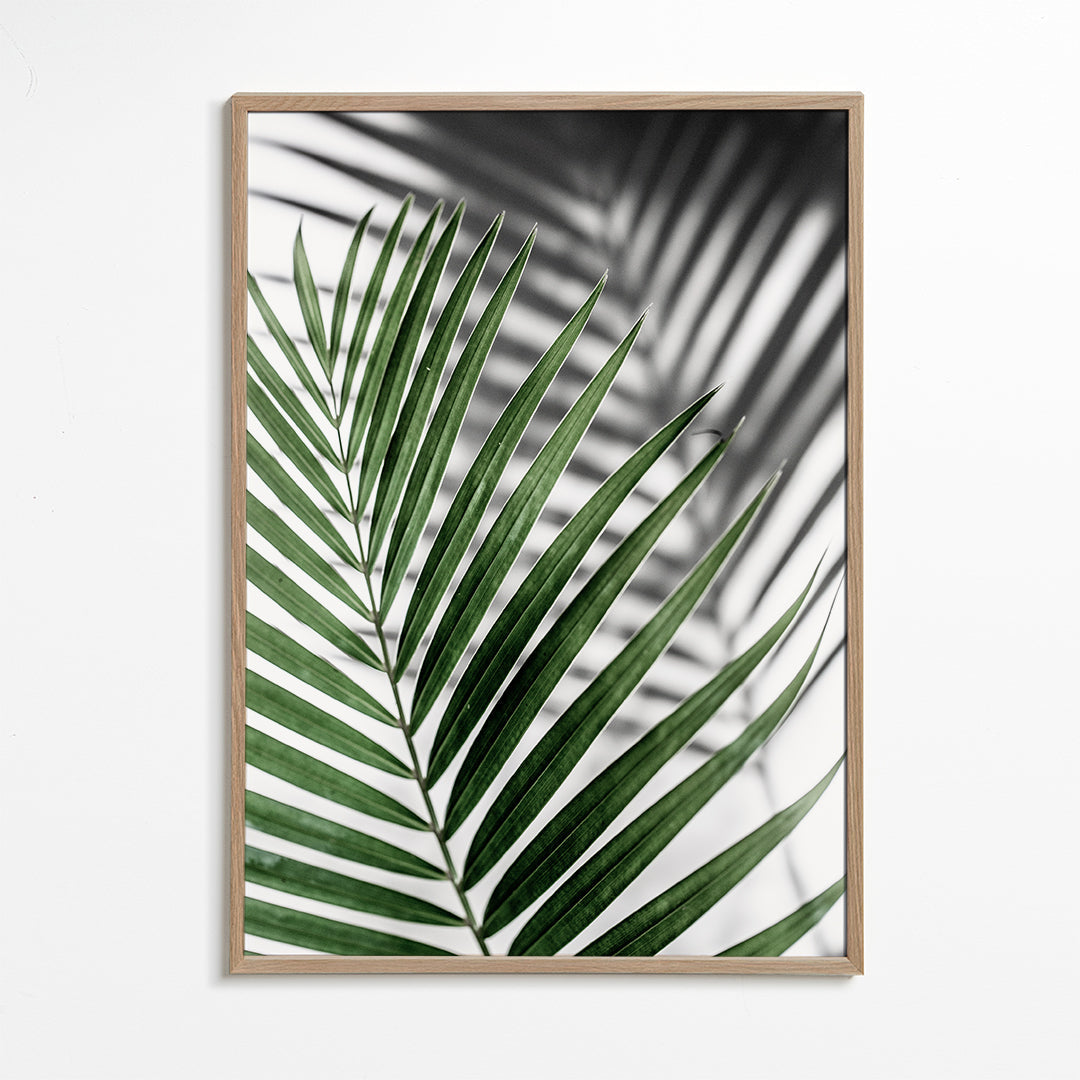 Botanisk print med palmlöv i närbild