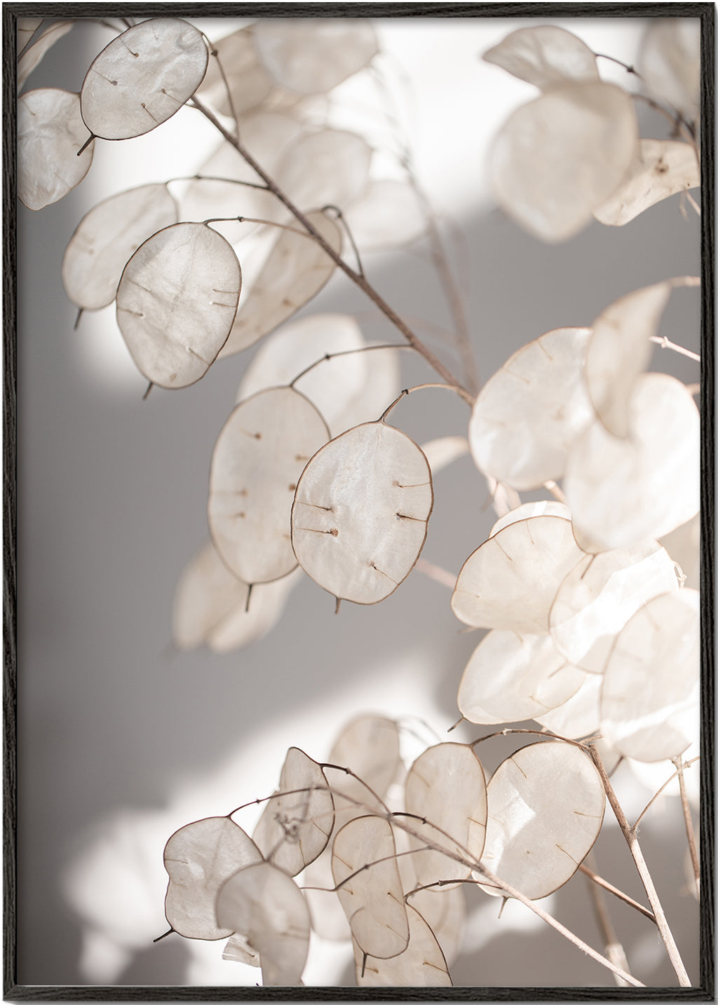 Botanisk print genomskinliga blad fotografi