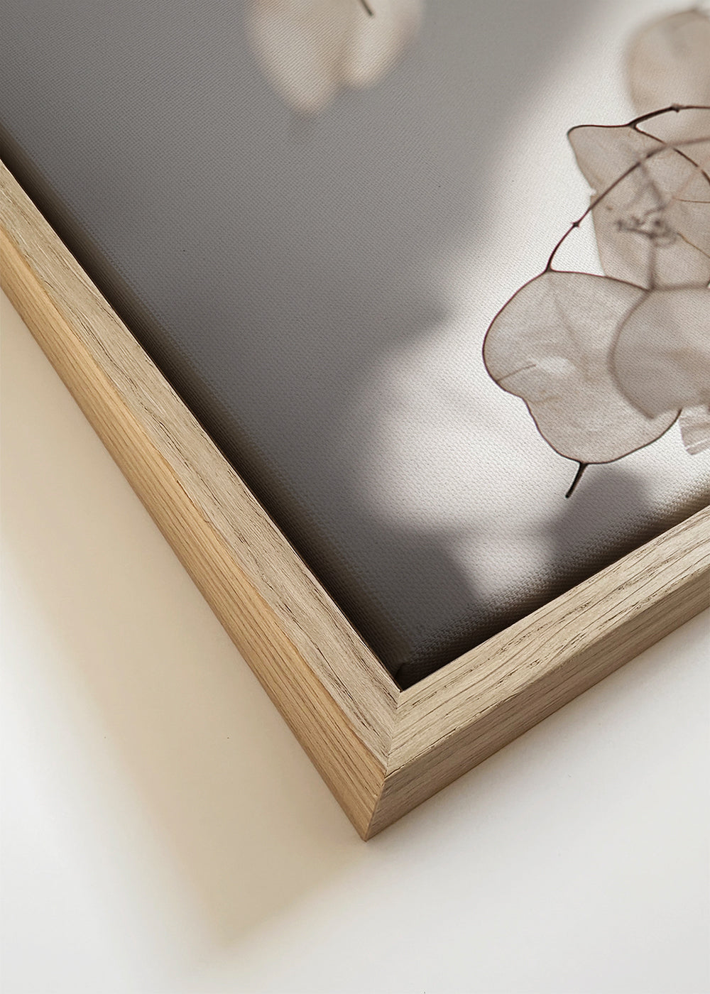 Botanisk print genomskinliga blad fotografi