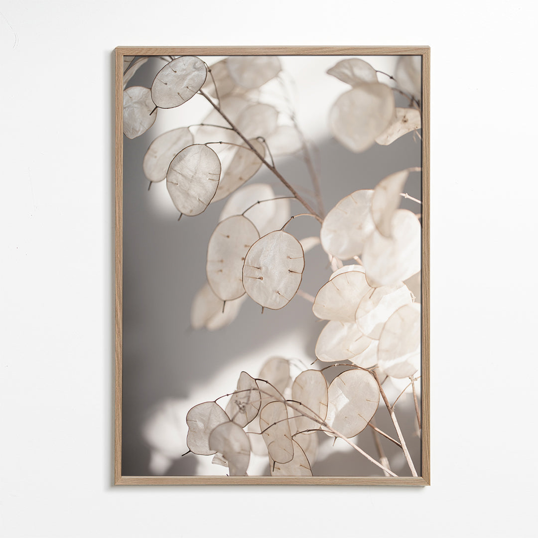 Botanisk print genomskinliga blad fotografi