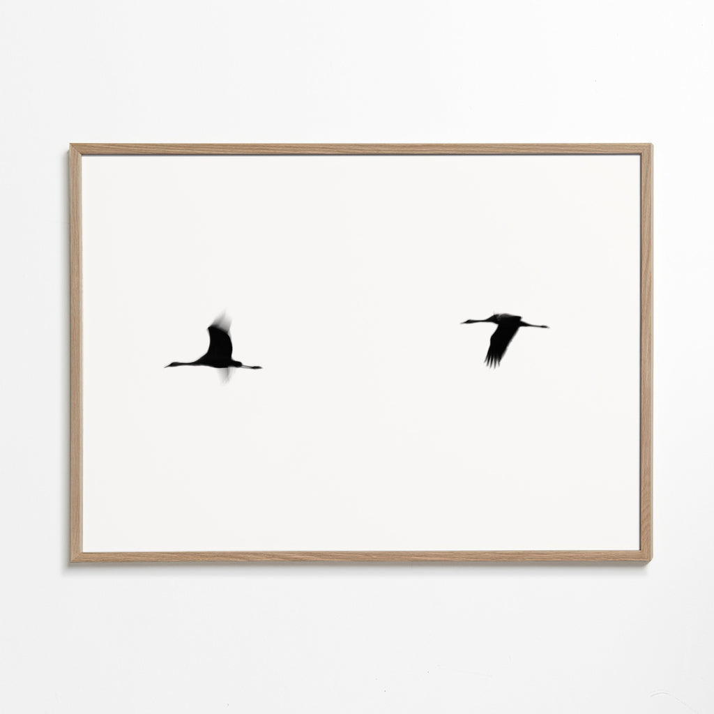 Konst tranor i flykt minimalistisk