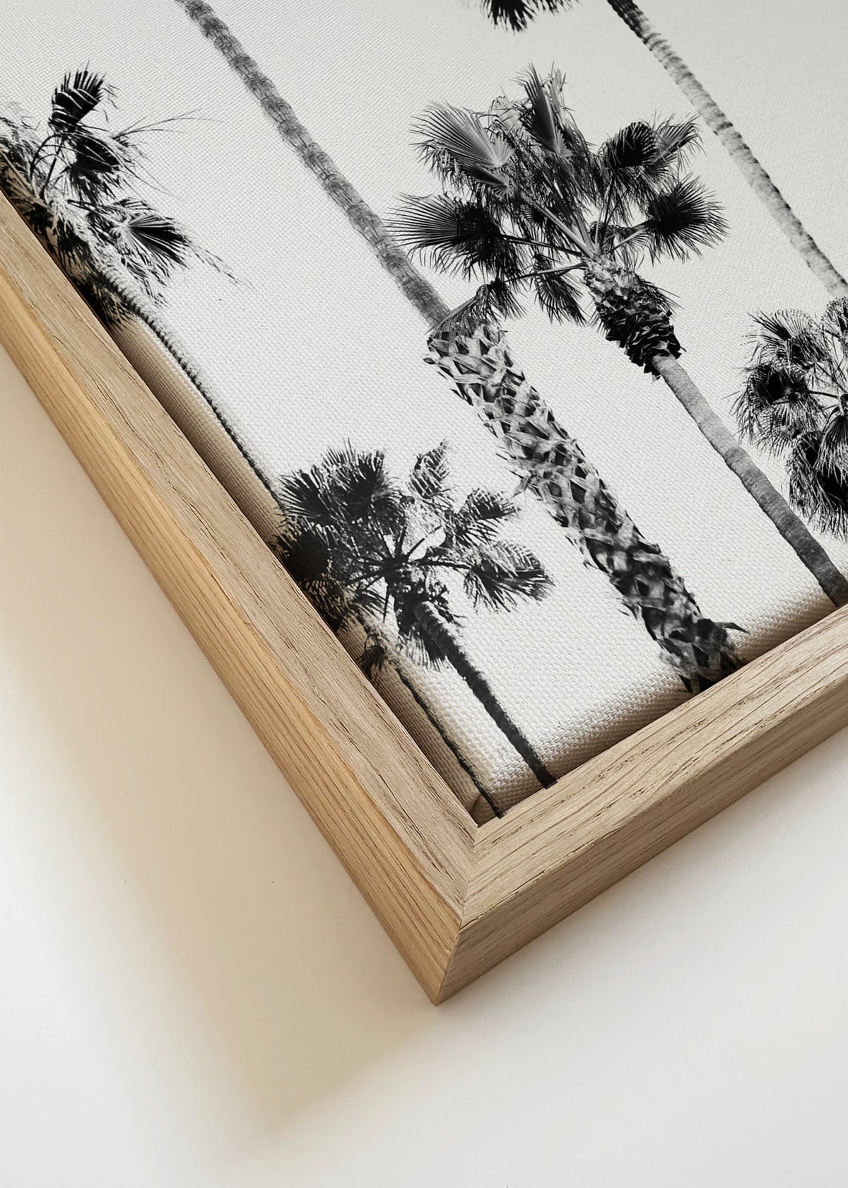 Black And White Palms 2 - Framed canvas detail