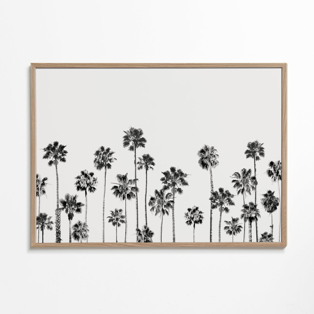 Botanisk print med palmer i svartvitt