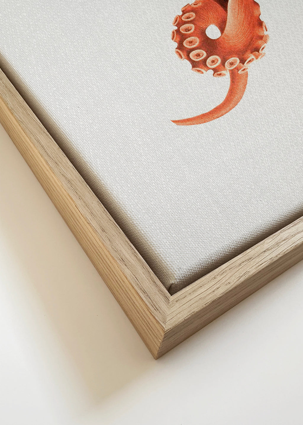 Watercolor Octopus - Framed canvas detail