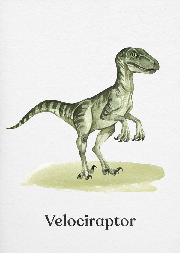 Velociraptor illustration för barn