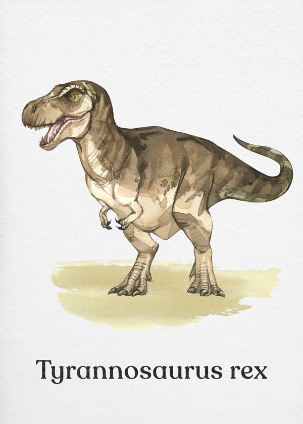 Konstverk Tyrannosaurus rex illustration