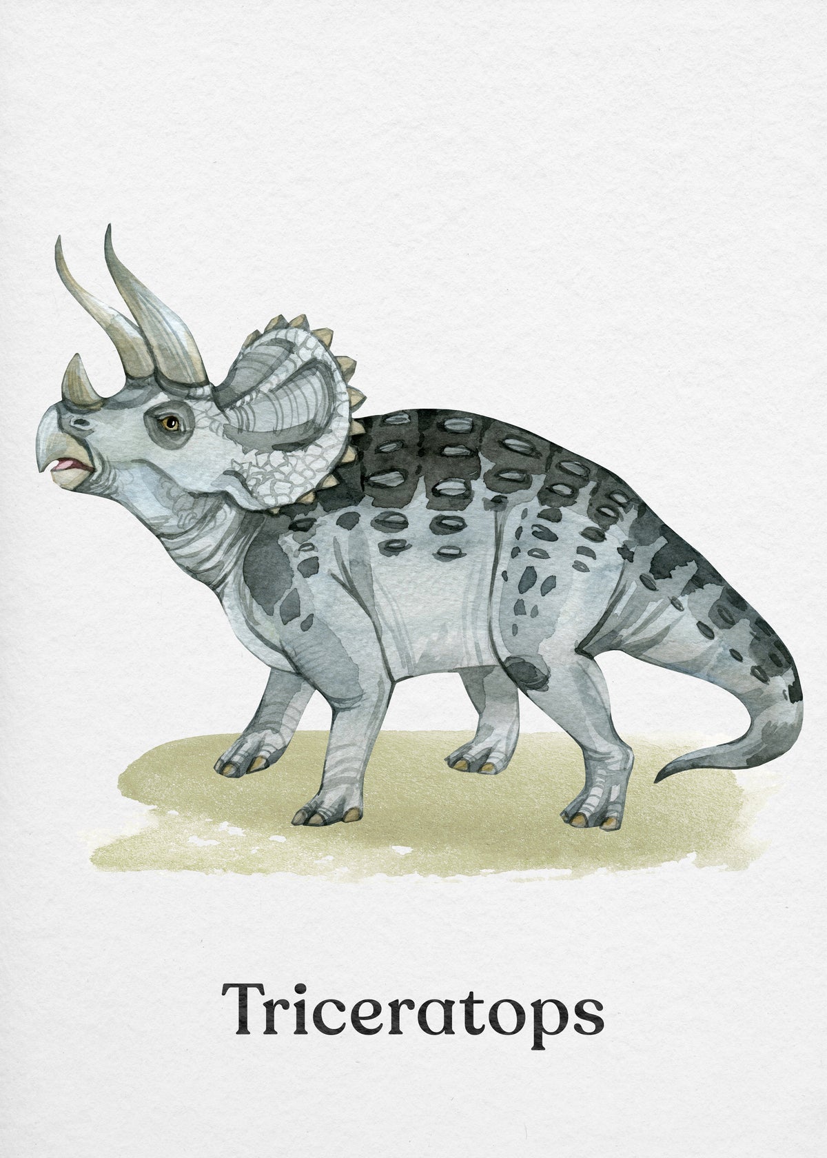 Triceratops - Unframed art print