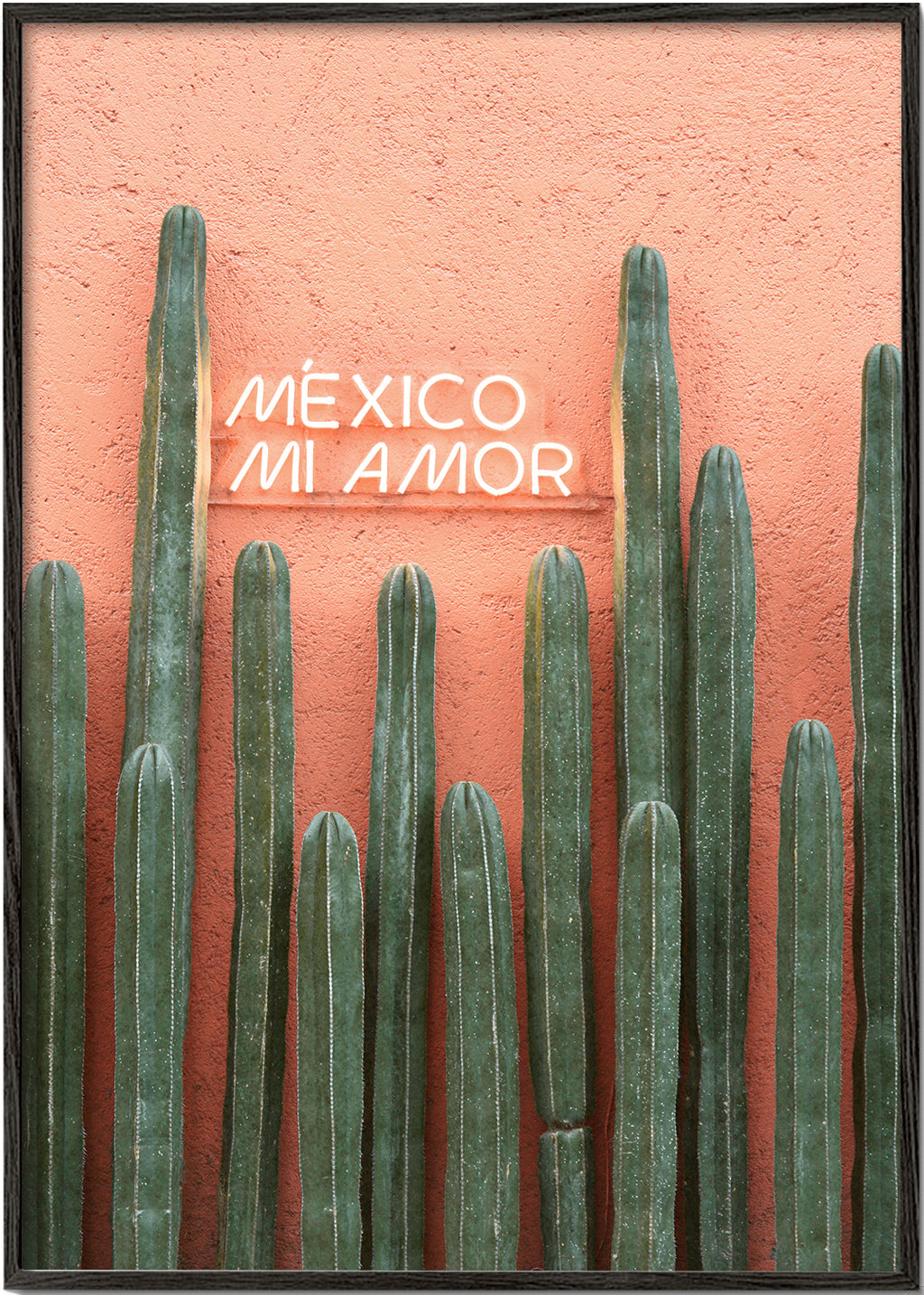Botanisk poster Mexico kaktus med neon