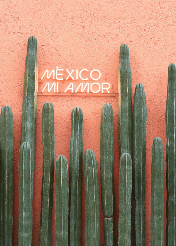 Botanisk poster Mexico kaktus med neon