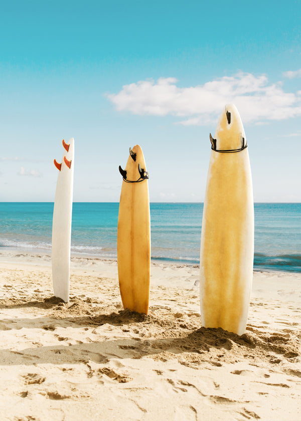 Surfbrädor på solig strand