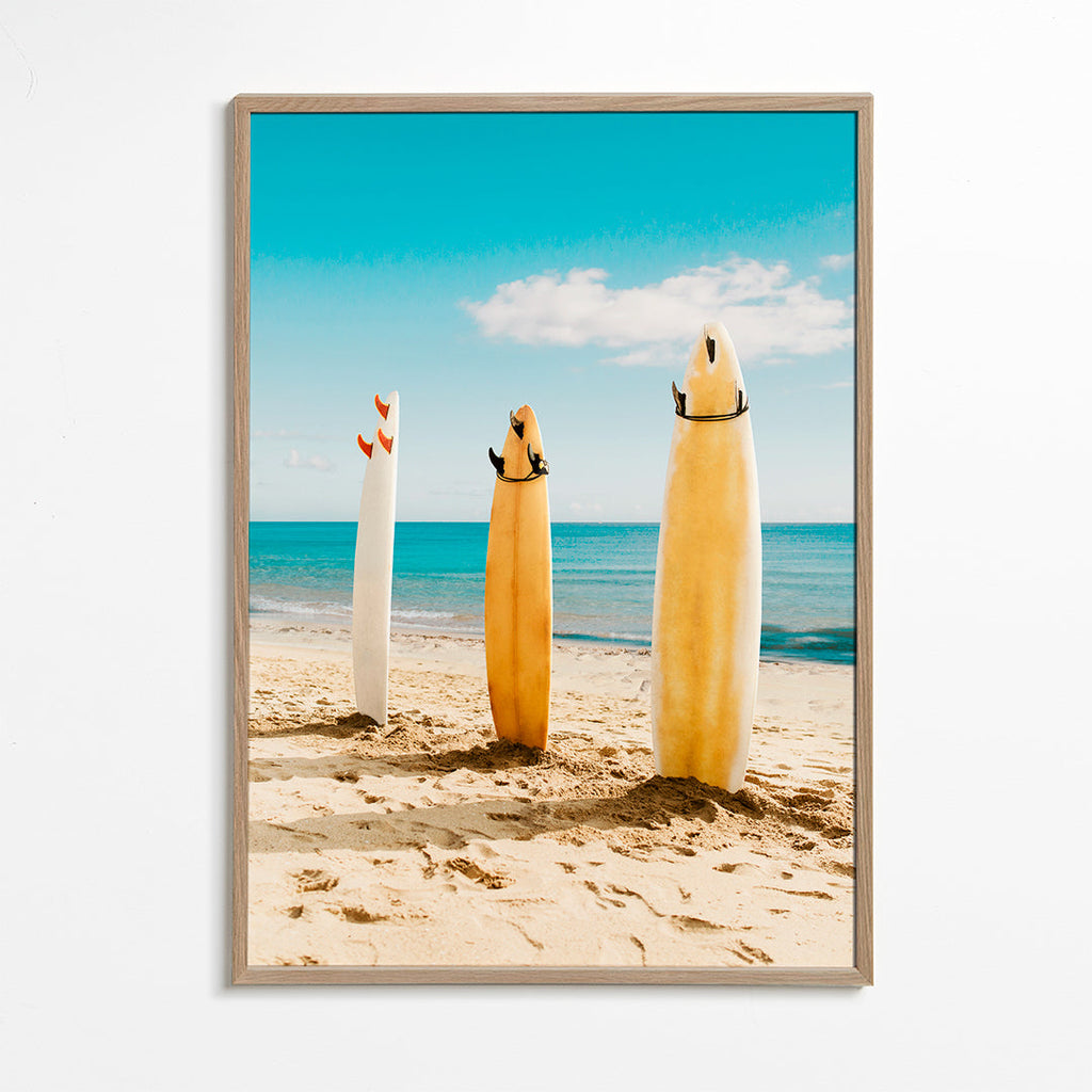 Surfbrädor på solig strand