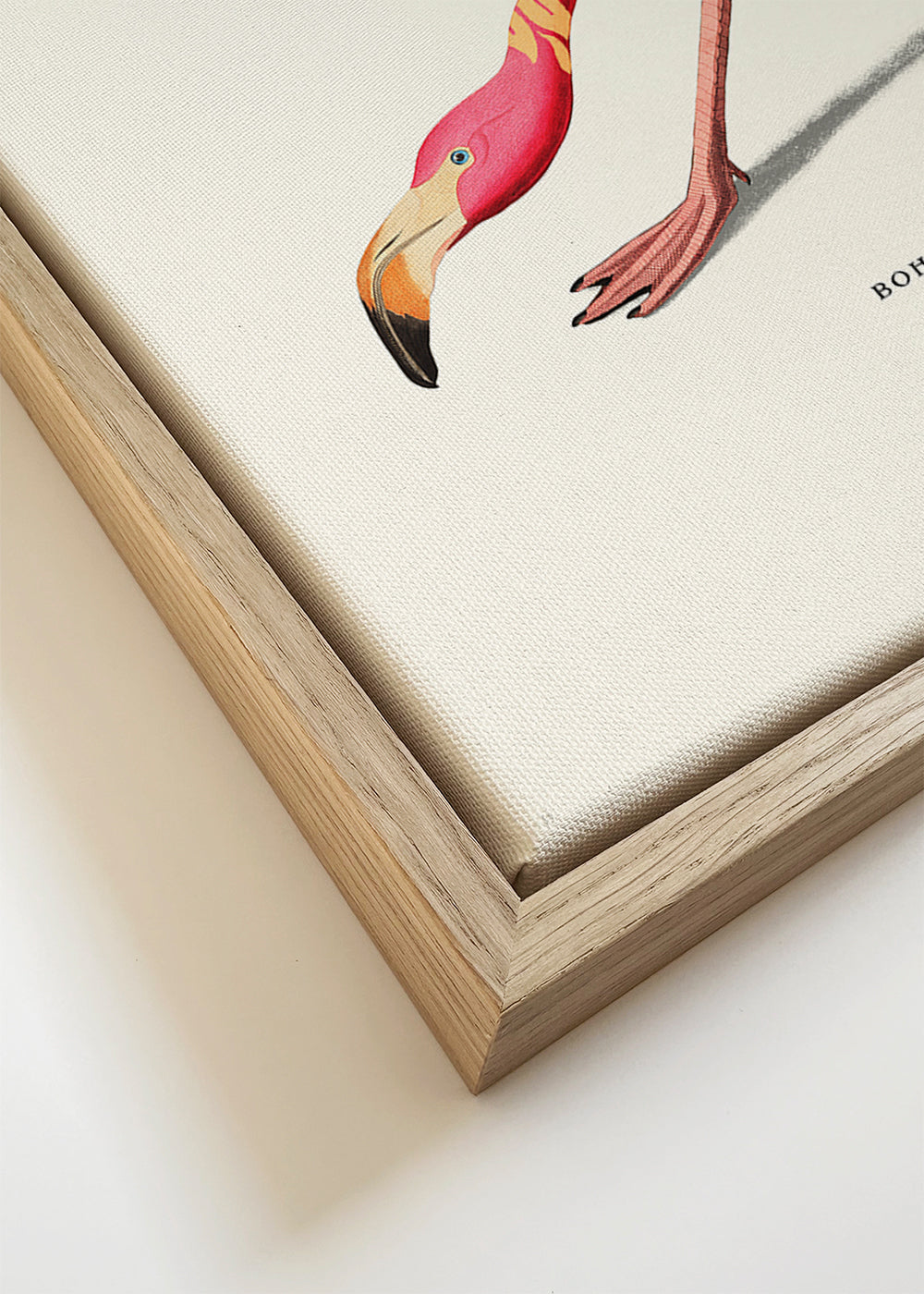 Boho flamingo illustration