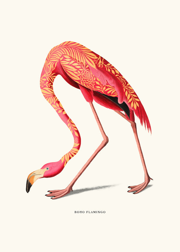 Boho flamingo illustration