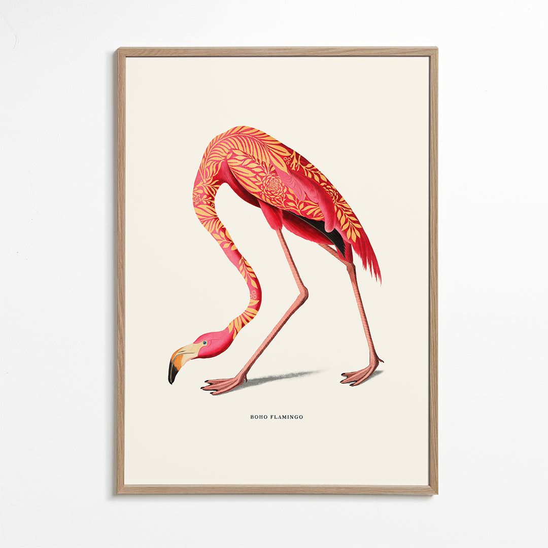 Boho flamingo illustration