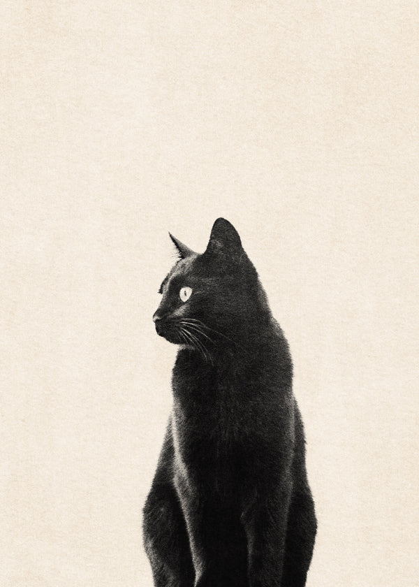 Tavla svart katt i profil
