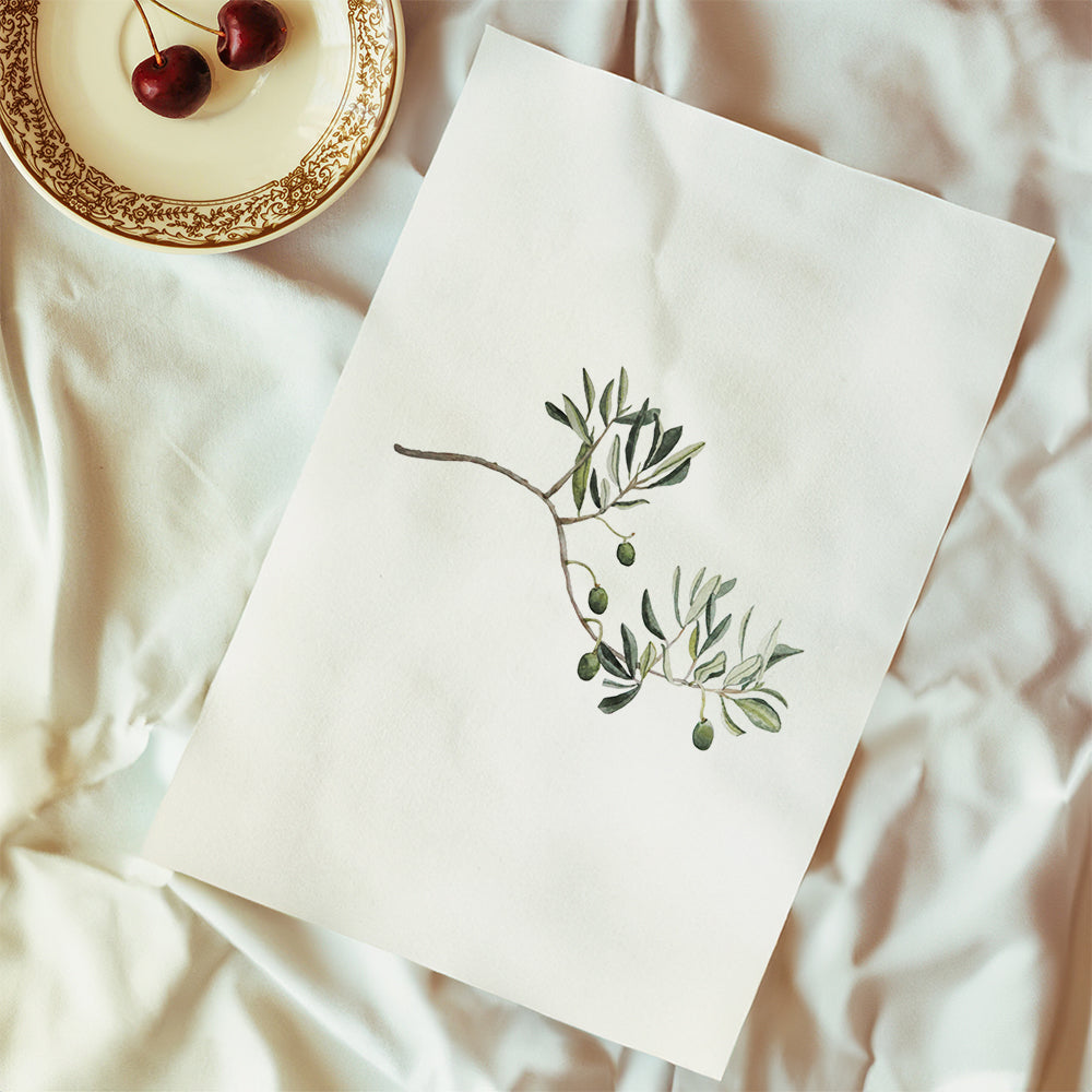 Botanisk poster olivkvist studie