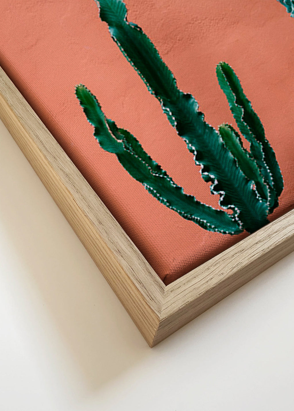 Botanisk poster med kaktusar på terrakottavägg – Canvas detail