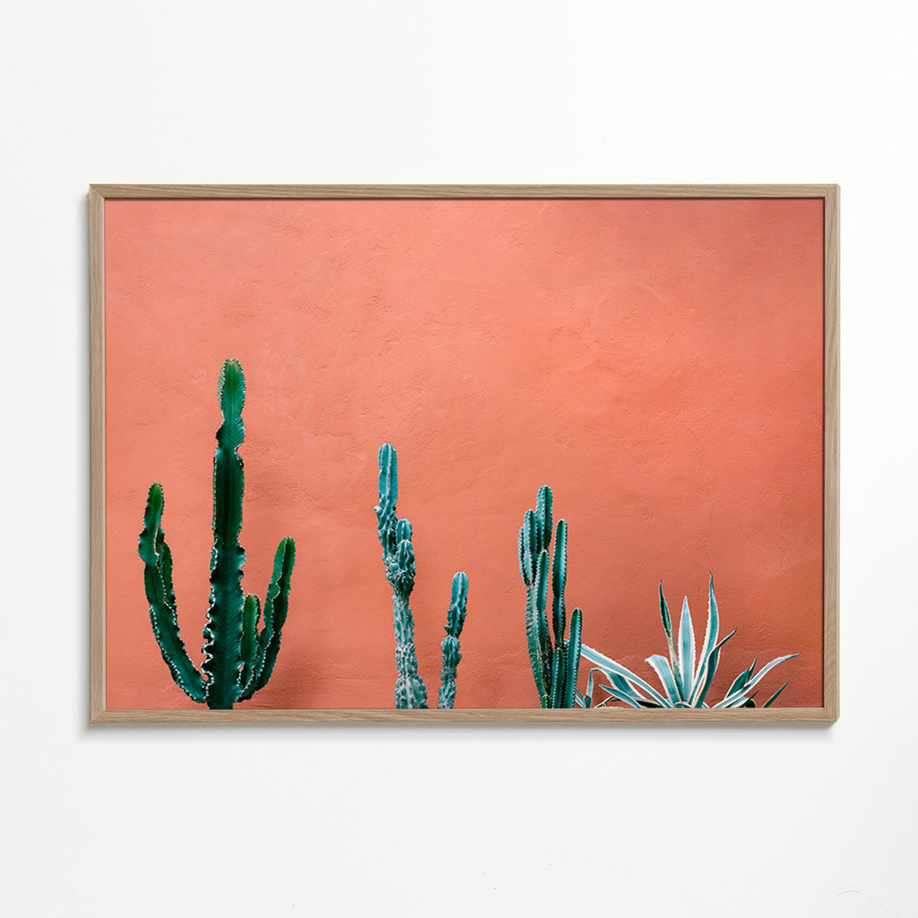 Botanisk poster med kaktusar på terrakottavägg – Oak Frame