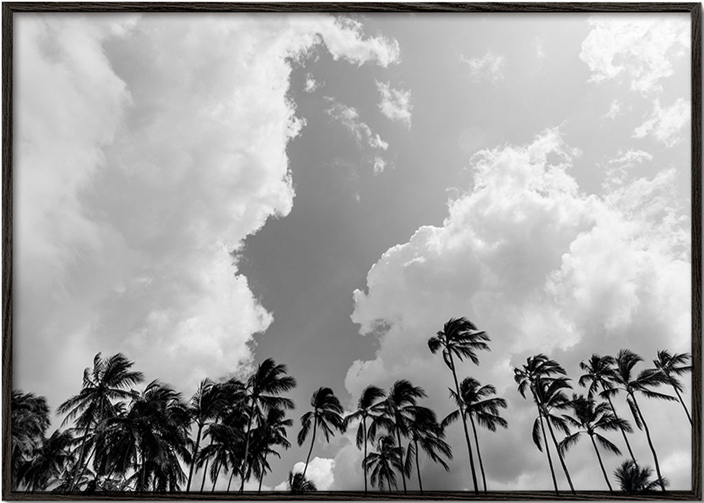 Landskapskonst med palmer och dramatisk himmel – Black Frame