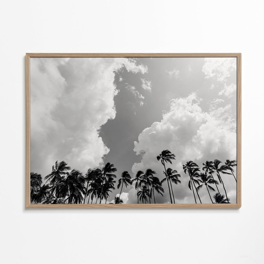 Landskapskonst med palmer och dramatisk himmel – Oak Frame