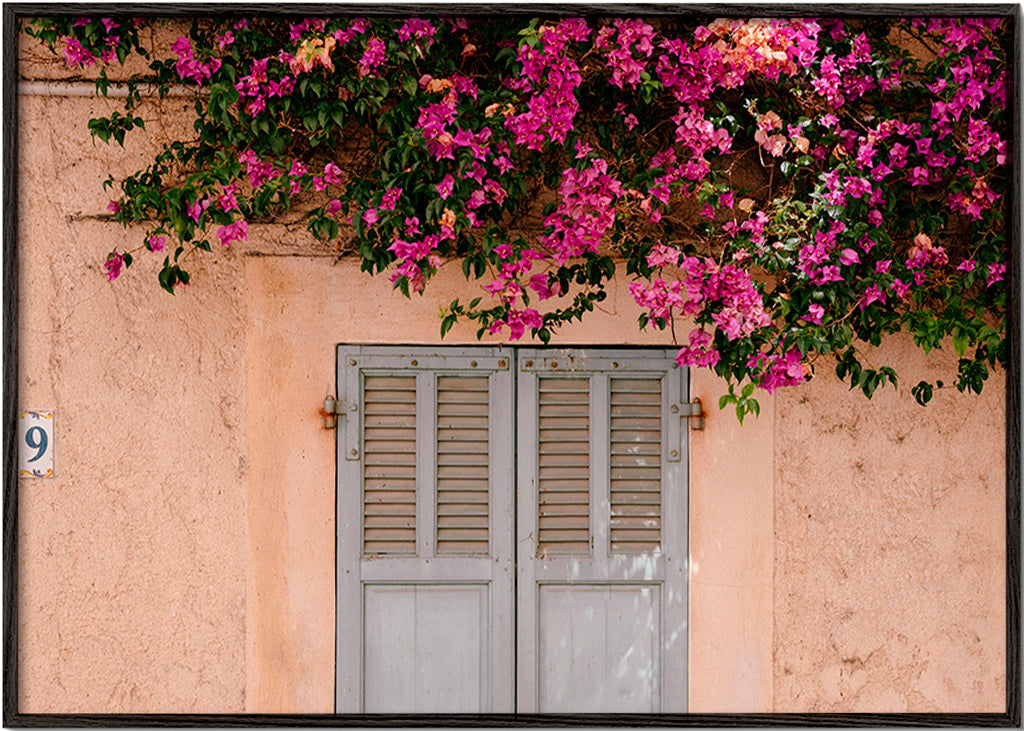 Botanisk poster: bougainvillea över gammal dörr – Black Frame