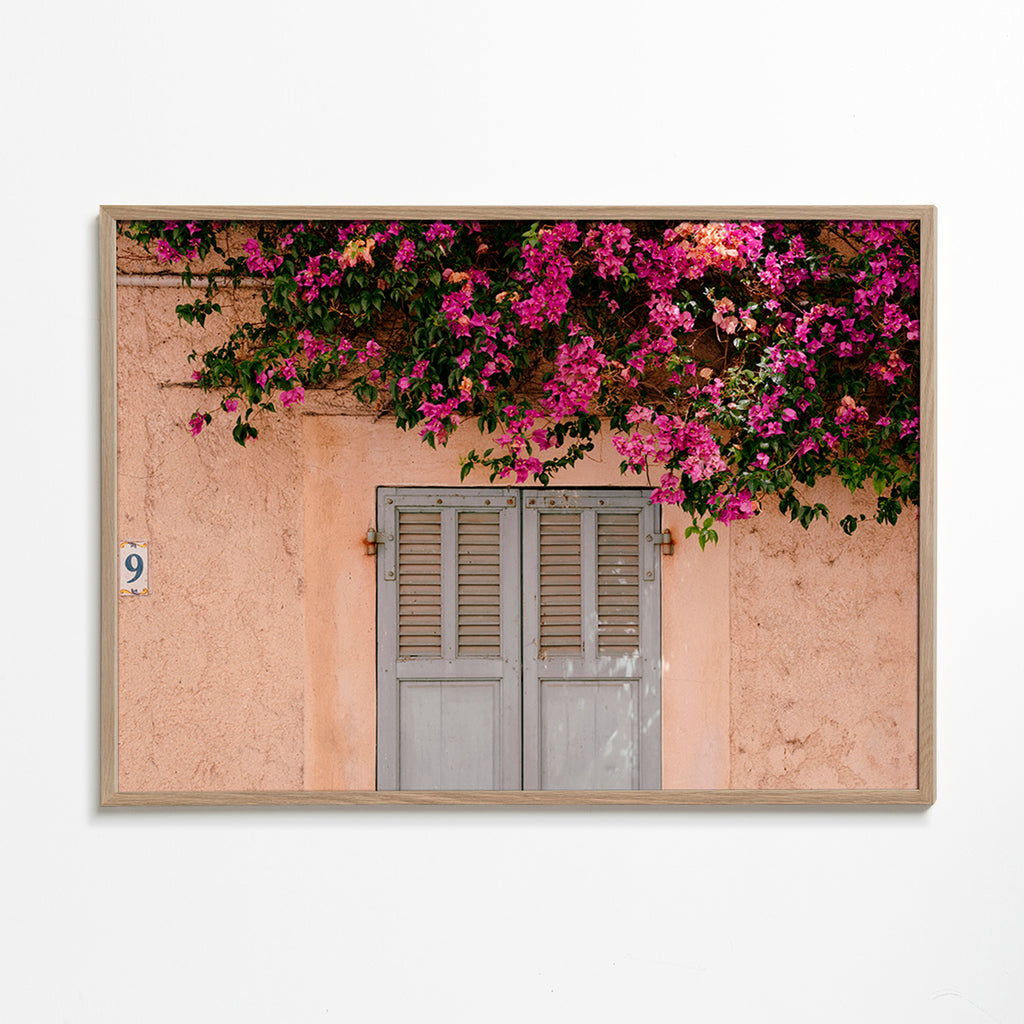 Botanisk poster: bougainvillea över gammal dörr – Oak Frame
