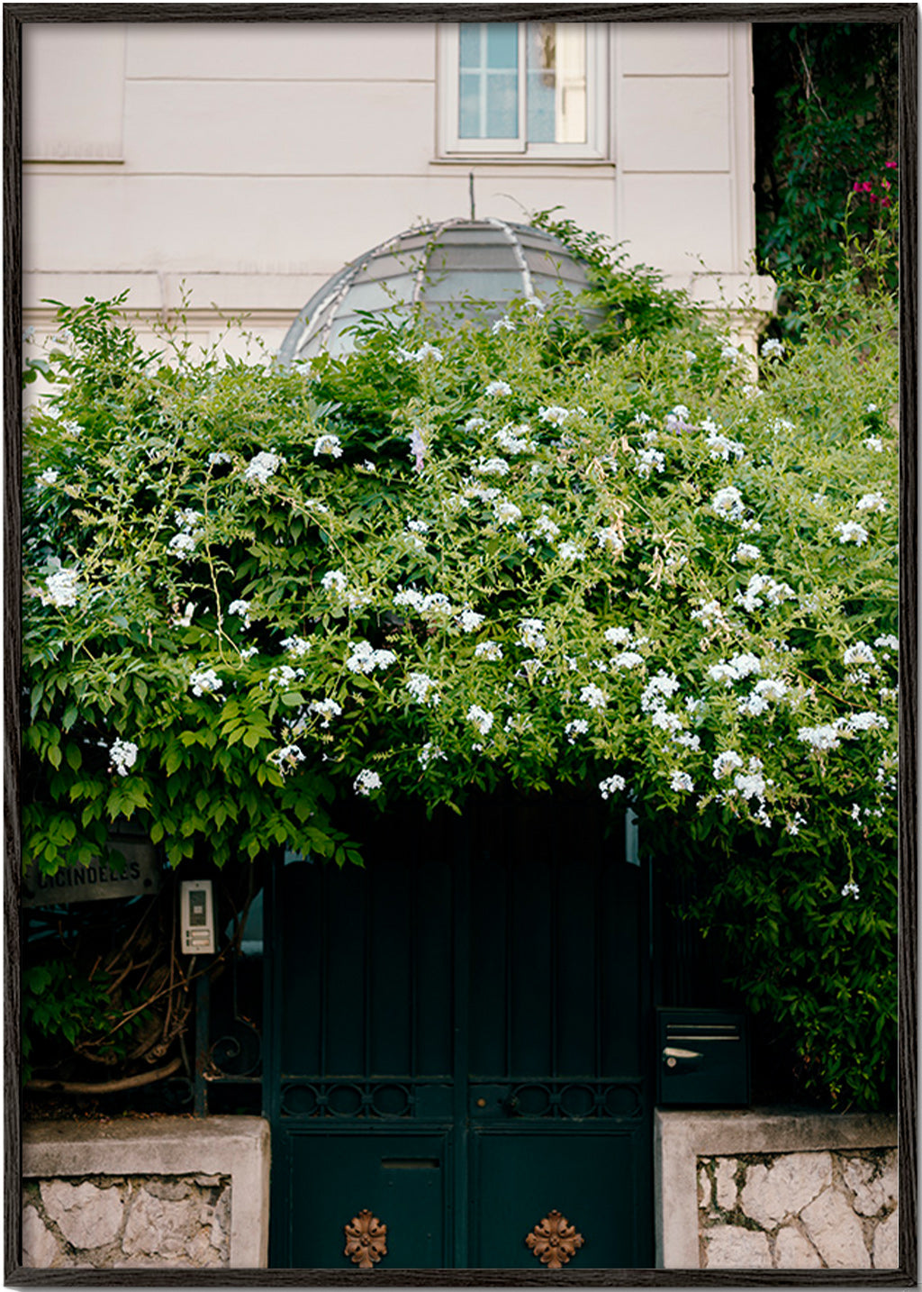 Botaniskt tryck med vit klätterväxt vid porten – Black Frame