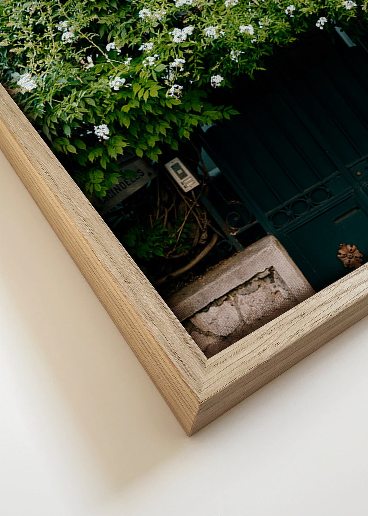 Botaniskt tryck med vit klätterväxt vid porten – Canvas detail