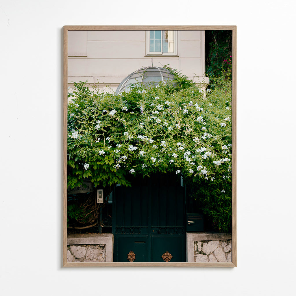 Botaniskt tryck med vit klätterväxt vid porten – Oak Frame